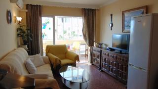 Terrasol Apartamentos Plazamar - Torre del Mar - 3