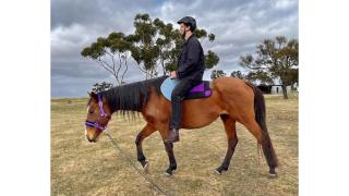 Avondale Heights by Tiny Away - - 2