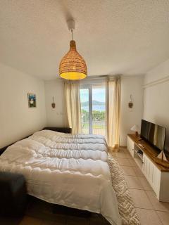 Studio cosy avec terrasse et vue mer imprenable - Banyuls-sur-Mer - 3