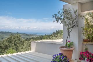 Stone House In Katouna With Garden - Katouna - 9