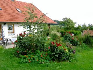 Ferienwohnung In Schlag Mit Terrasse - 4