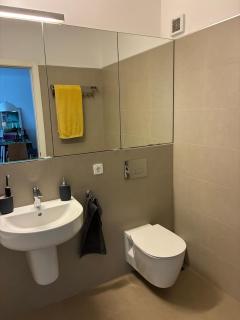 Civic Centre Flat - Braşov - 2