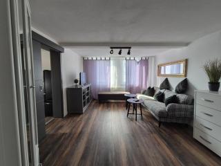 Mikra Homes24 in Crimmitschau - Crimmitschau - 1