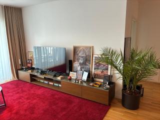 Civic Centre Flat - Braşov - 0
