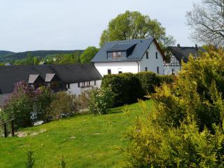 Gemütliche Familienferienwohnung Im Obergeschoss - Bad Brambach - 8