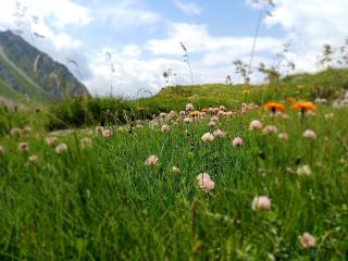 Chalet Waldhof - Flattach - 0