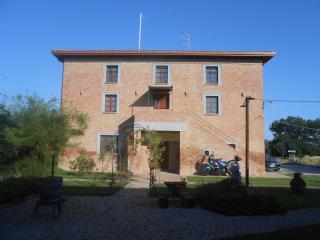 Rotreiher Urlaub Am Trasimeno See - Pucciarelli - 0