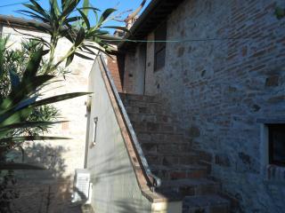 Rotreiher Urlaub Am Trasimeno See - Pucciarelli - 5