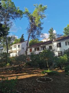 Apartment Bella Mit Balkon Und Terrasse In Necujam - Nečujam - 4