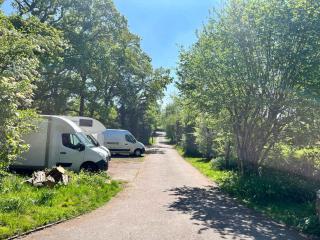 Exclusive Use - Walden Hall - Nuthurst - 0