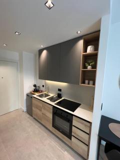 BW Simfonia Apartman 407-whit free garage parking - Belgrado - 6