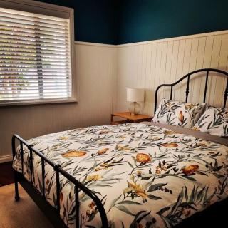 Mayfield House Collie - 5