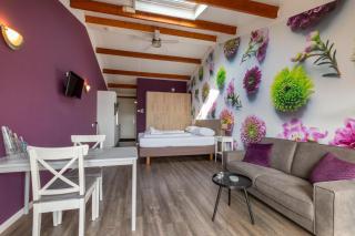 Welcome in - Sint-Anthonijshoek, studio's met eigen tuin, theeschenkerij en pluktuin - 3