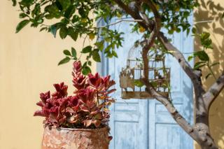 Oasis Μansion, 2min from Sitia centre & beach - Sitia - 9