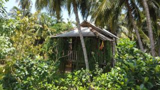 Coconut Island Yala Safari Place - Tissamaharama - 9