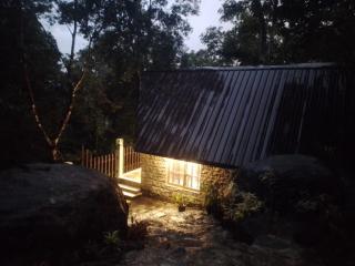 The Rain Forest - - 8