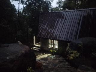 The Rain Forest - - 6