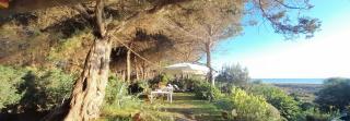 Mirto E Mare - Muravera - 3