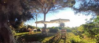 Mirto E Mare - Muravera - 7