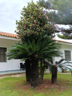 Dal tramonto all' alba - 3