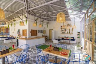 Zostel Homes Tirthan, Gushaini - 9