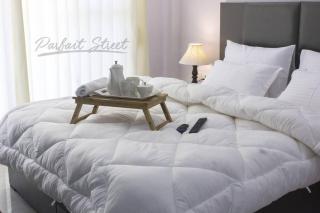 Medical friendly 2 BR near Fortis -Parfait Street - Gurgaon - 8