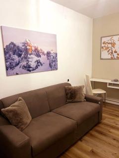 DOLOMIA APARTMENTS PINZOLO vicino alle funivie - Pinzolo - 7