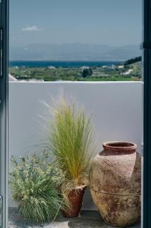 patrico πατρικό - Parikia - 5