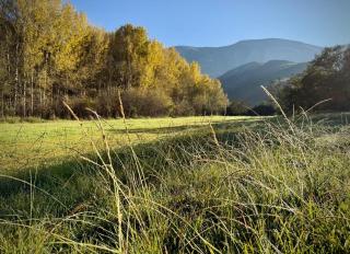 Pat Busch Mountain Reserve - Robertson - 0