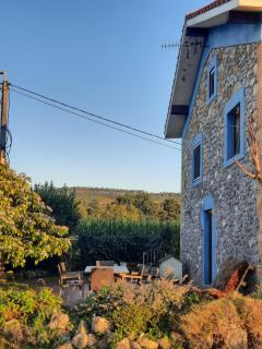 Blueberria Guesthouse - Entire house for groups or families - Bárcena de Cicero - 5
