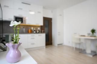 Dory Apartment - Pilsen - 3
