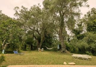Pelaghia vacation home - Lefkimmi - 6
