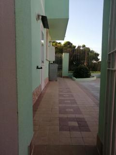 Azzurro Felix - 4