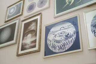 Fanhams Hall, Exclusive Collection - Ware - 8