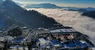 2BHK Furnished Apartment/Near Kasauli/Barog/Luv Fun & Adventure - Solan - 3