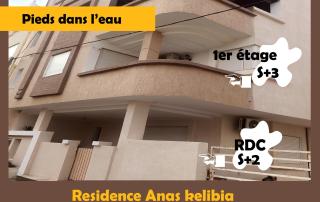 Résidence Anas Kelibia RDC - Kelibia - 8