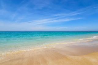 Private Beach 1BR-Yacht Club-WorkSpace-Pool-Gym - 7