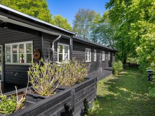 Holiday Home Christin - 275m from the sea by Interhome - Hornbæk - 8