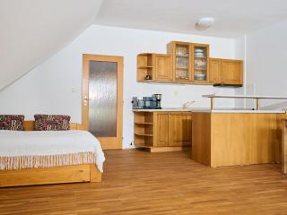 Studio Rosie-Dolní náměstí by Interhome - 2