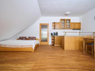 Studio Rosie-Dolní náměstí by Interhome - Rokytnice nad Jizerou - 7
