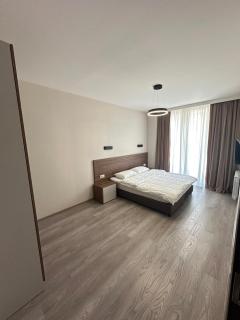 Tsistvala Apartment #101 - Bakuriani - 8