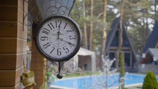 Park Hotel Surami Chalet - Surami - 4