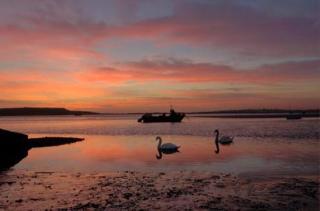 The Coach House - Mudeford Quay - Mudeford - 1