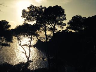 Les Lones avec jardin - Six-Fours-les-Plages - 4