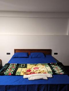 Seethala සීතල Luxury Cottage - Nikawatawana - 2