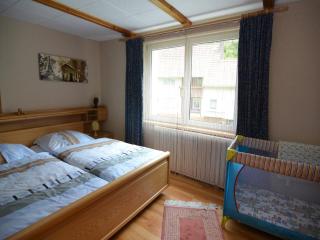 Cosy holiday home in the Harz region - Herzberg am Harz - 1