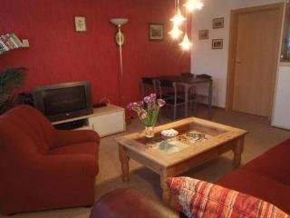 Wohnung In Johanngeorgenstadt Mit Garten - Johanngeorgenstadt - 9