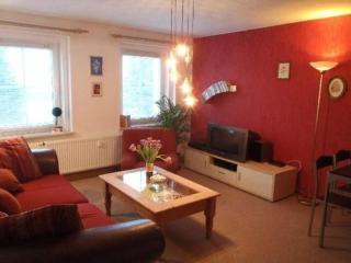 Wohnung In Johanngeorgenstadt Mit Garten - Johanngeorgenstadt - 1