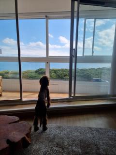 Seaview Sands Beach Apartment - 1