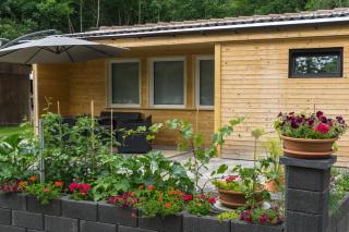 Ferienhaus für 1 Personen 1 Kind ca 35 m in Seegebiet Mansfelder Land-Seeburg, Sachsen-Anhalt Süßer See - Seeburg - 6